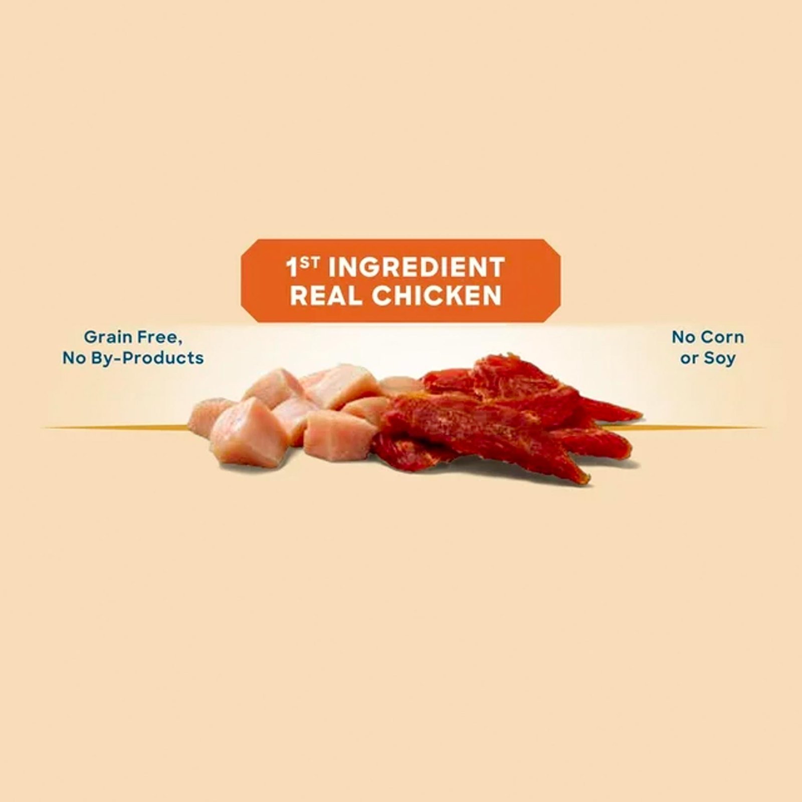 Golden Rewards Chicken Flavor Premium Dry Jerky Treats for All Dogs, 16 oz - immagine 2